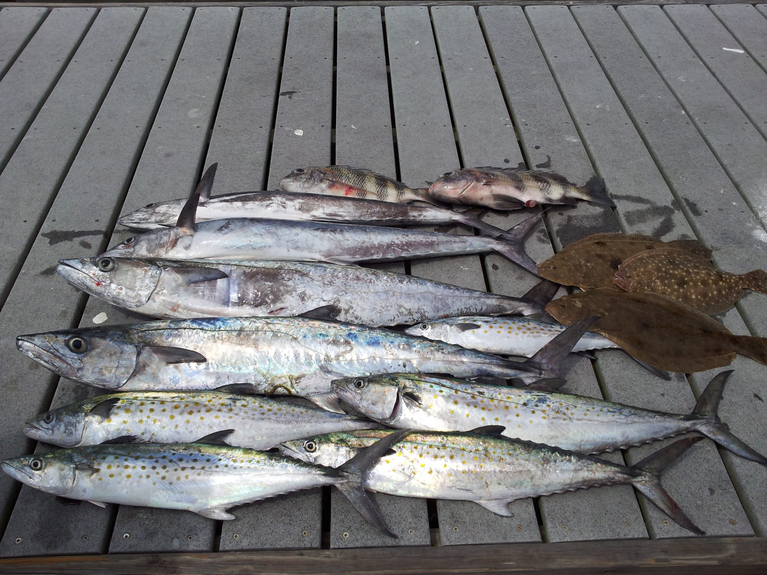 Gallery Pensacola Fishing Co